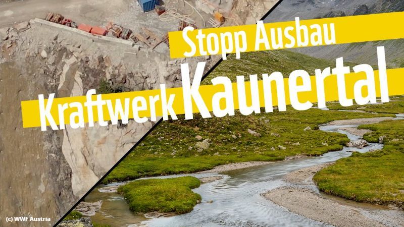 Petition: Stopp Ausbau Kraftwerk Kaunertal!